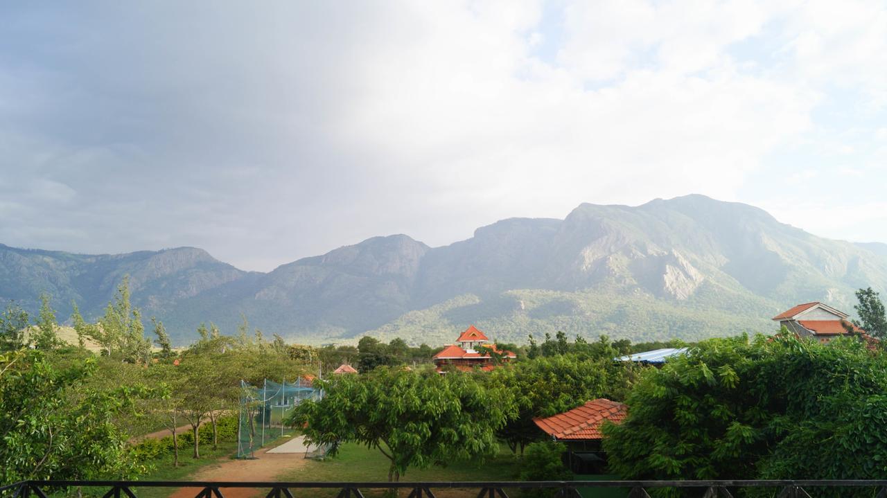 מלון מסינאגודי Mountain View מראה חיצוני תמונה